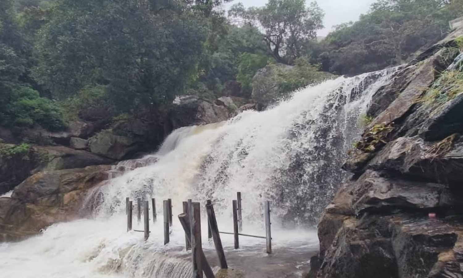 மழையால் நீர்வரத்து அதிகரிப்பு- உடுமலை பஞ்சலிங்க அருவியில் குளிக்க தடை