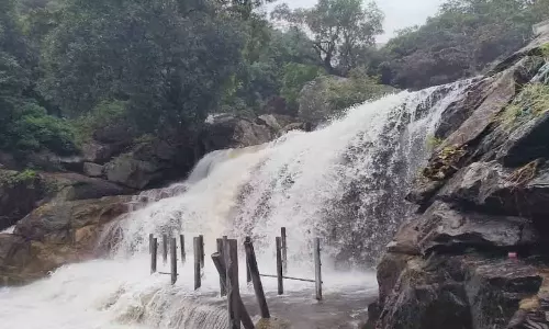 மழையால் நீர்வரத்து அதிகரிப்பு- உடுமலை பஞ்சலிங்க அருவியில் குளிக்க தடை