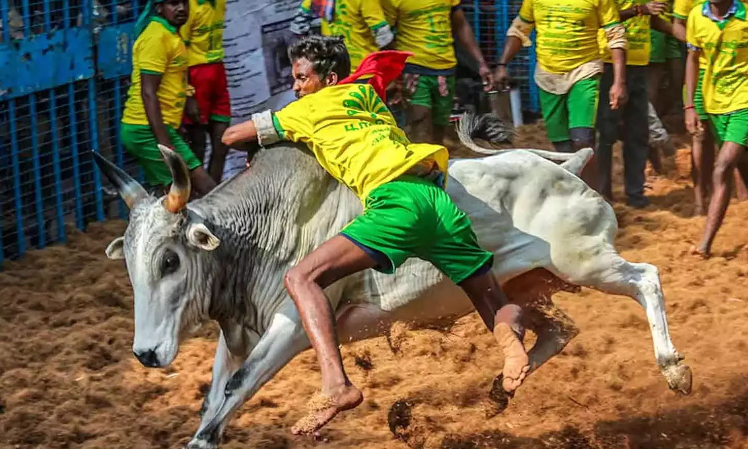 பொங்கல் பண்டிகை - மதுரையில் நடைபெறும் ஜல்லிக்கட்டுக்கான தேதிகள் அறிவிப்பு பொங்கல் பண்டிகை - மதுரையில் நடைபெறும் ஜல்லிக்கட்டுக்கான தேதிகள் அறிவிப்பு