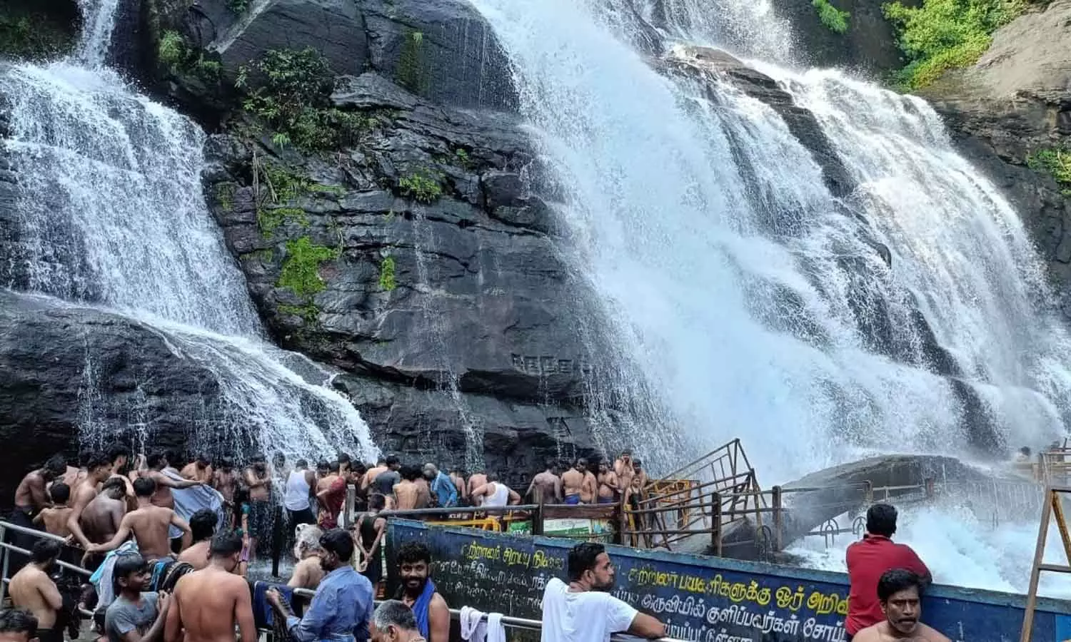 மழை குறைந்து நீர்வரத்து சீரானது- குற்றால அருவிகளில் குளிக்க அனுமதி மழை குறைந்து நீர்வரத்து சீரானது- குற்றால அருவிகளில் குளிக்க அனுமதி