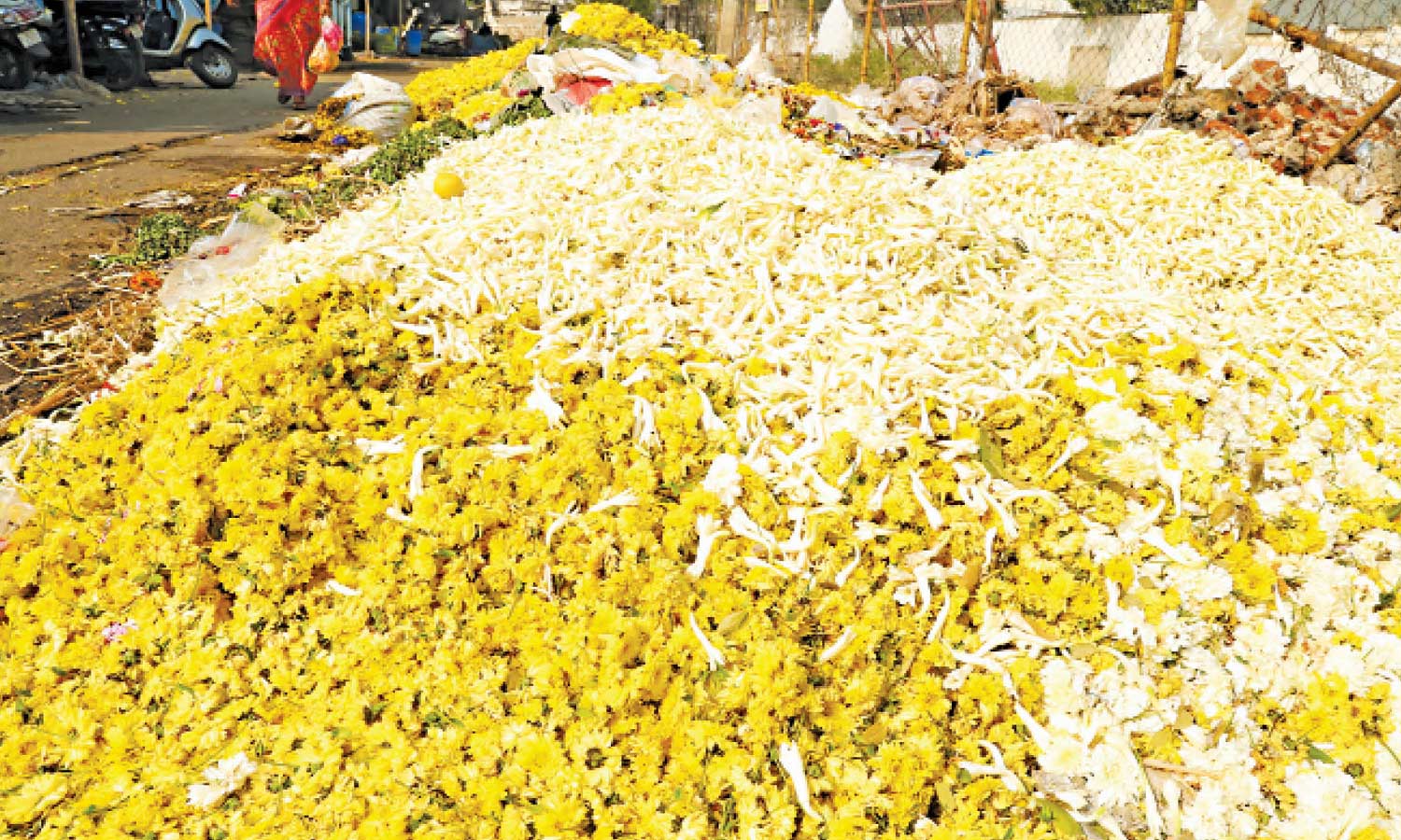 திருப்பூரில் விலை சரிவால் குப்பையில் கொட்டப்படும் பூக்கள்