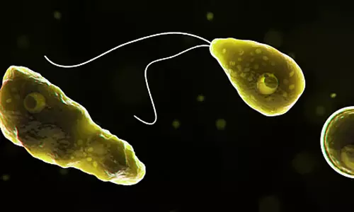 அமீபிக் மூளைக்காய்ச்சலுக்கு முதியவர் பலி