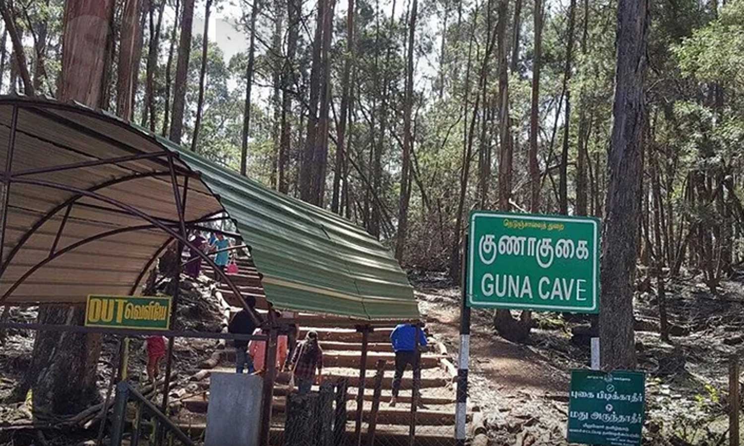 கொடைக்கானல் செல்லும் சுற்றுலா பயணிகளின் கவனத்திற்கு - புதிய அறிவிப்பை வெளியிட்ட வனத்துறை