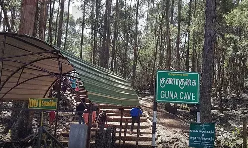 கொடைக்கானல் செல்லும் சுற்றுலா பயணிகளின் கவனத்திற்கு - புதிய அறிவிப்பை வெளியிட்ட வனத்துறை