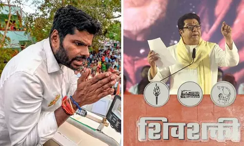 தமிழ்நாட்டில் இருந்து வந்த ரசமலாய் - அண்ணாமலையை கடுமையாக தாக்கி பேசிய ராஜ் தாக்கரே