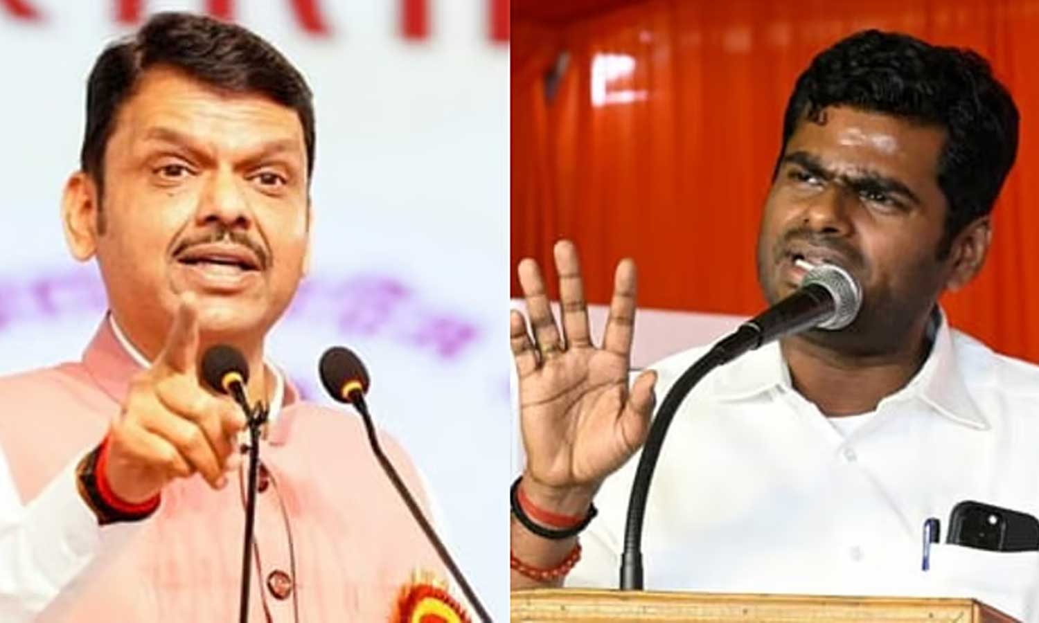 அண்ணாமலையின் கருத்தெல்லாம் சீரியஸா எடுத்துக்காதீங்க - மகாராஷ்டிரா முதலமைச்சர் பட்நாவிஸ்