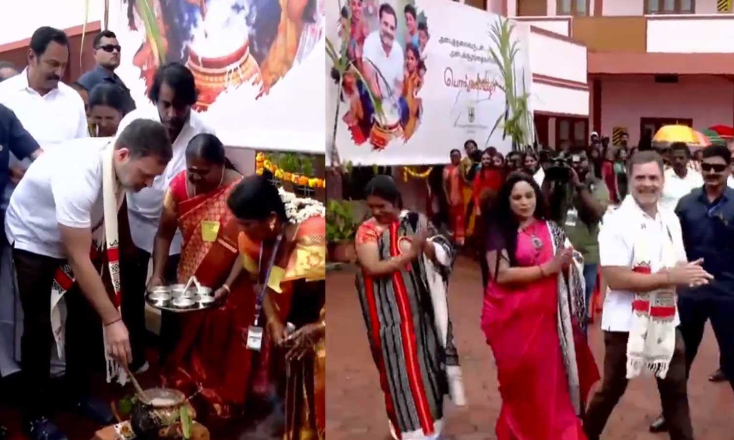 கூடலூரில் பொங்கல் வைத்து, பழங்குடியின மக்களுடன் சேர்ந்து பாரம்பரிய நடனமாடிய ராகுல் காந்தி