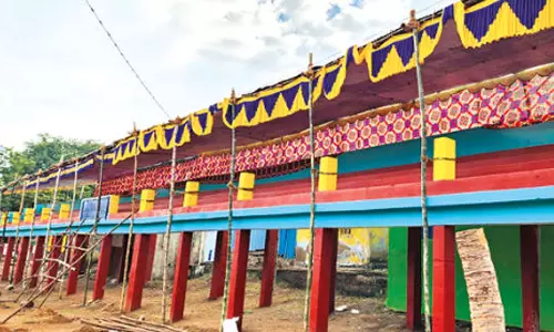 பாலமேடு, அலங்காநல்லூரில் ஜல்லிக்கட்டு ஏற்பாடுகள் விறுவிறுப்பு