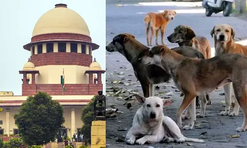 மாநிலங்கள் பெரும் இழப்பீடு வழங்க நேரிடும்: தெரு நாய் விவகாரத்தில் உச்சநீதிமன்றம் எச்சரிக்கை