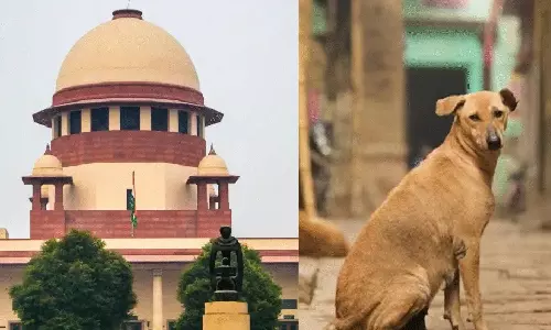 9 வயது குழந்தையை நாய்கள் தாக்கும்போது யார் பொறுப்பேற்பார்கள்? பிரச்சனையை கண்டும் காணாமல் இருக்கவேண்டுமா?  - உச்ச நீதிமன்றம் கேள்வி