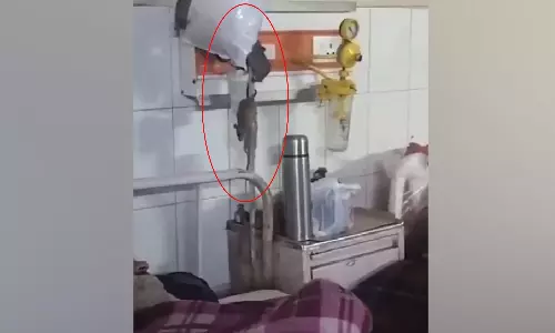 உ.பி. மருத்துவமனையில் எலிகள் கள ஆய்வு... ஆக்சிஜன் குழாய்கள் மேல்ஏறி கொண்டாட்டம் - காங்கிரஸ் விமர்சனம்!