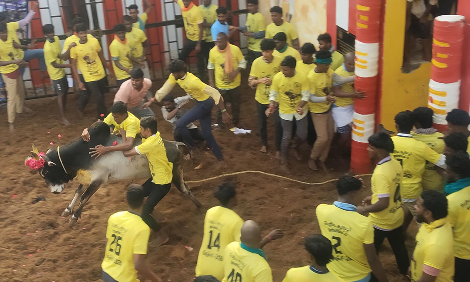 பெரியசூரியூர் புதிய மைதானத்தில் ஜல்லிக்கட்டு- சீறிப்பாய்ந்த காளைகளை அடக்க வரிந்து கட்டிய மாடுபிடி வீரர்கள்