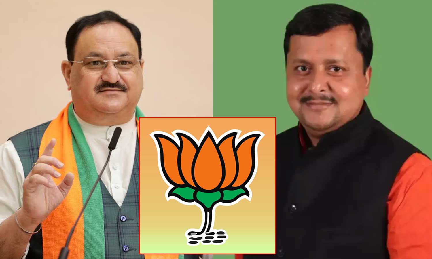 பாஜக-வின் புதிய தேசிய தலைவர் யார்?- 20-ந்தேதி அறிவிப்பு வெளியாகிறது