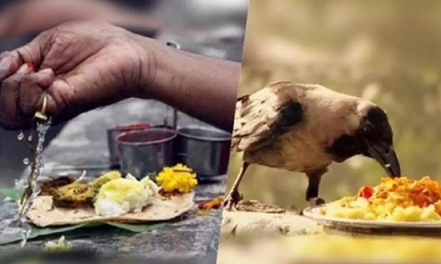 முன்னோர்களின்-ஆசியை-வழங்கும்-தை-அமாவாசை