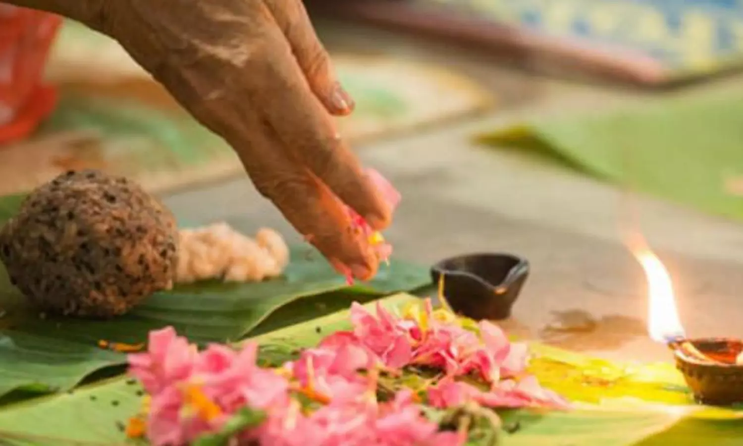 Indraya-Panchangam-மற்றும்-முக்கிய-நிகழ்வுகள்--18-ஜனவரி-2026:-தை-அமாவாசை