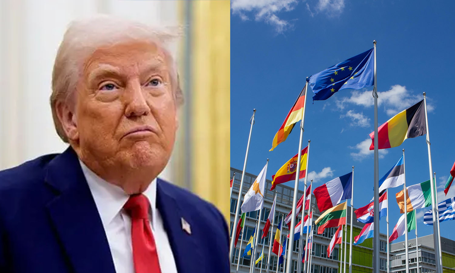 10 சதவீத வரி விதிப்பு: டிரம்பின் மிரட்டலுக்கு பணிய மாட்டோம்- ஐரோப்பிய நாடுகள் அதிரடி