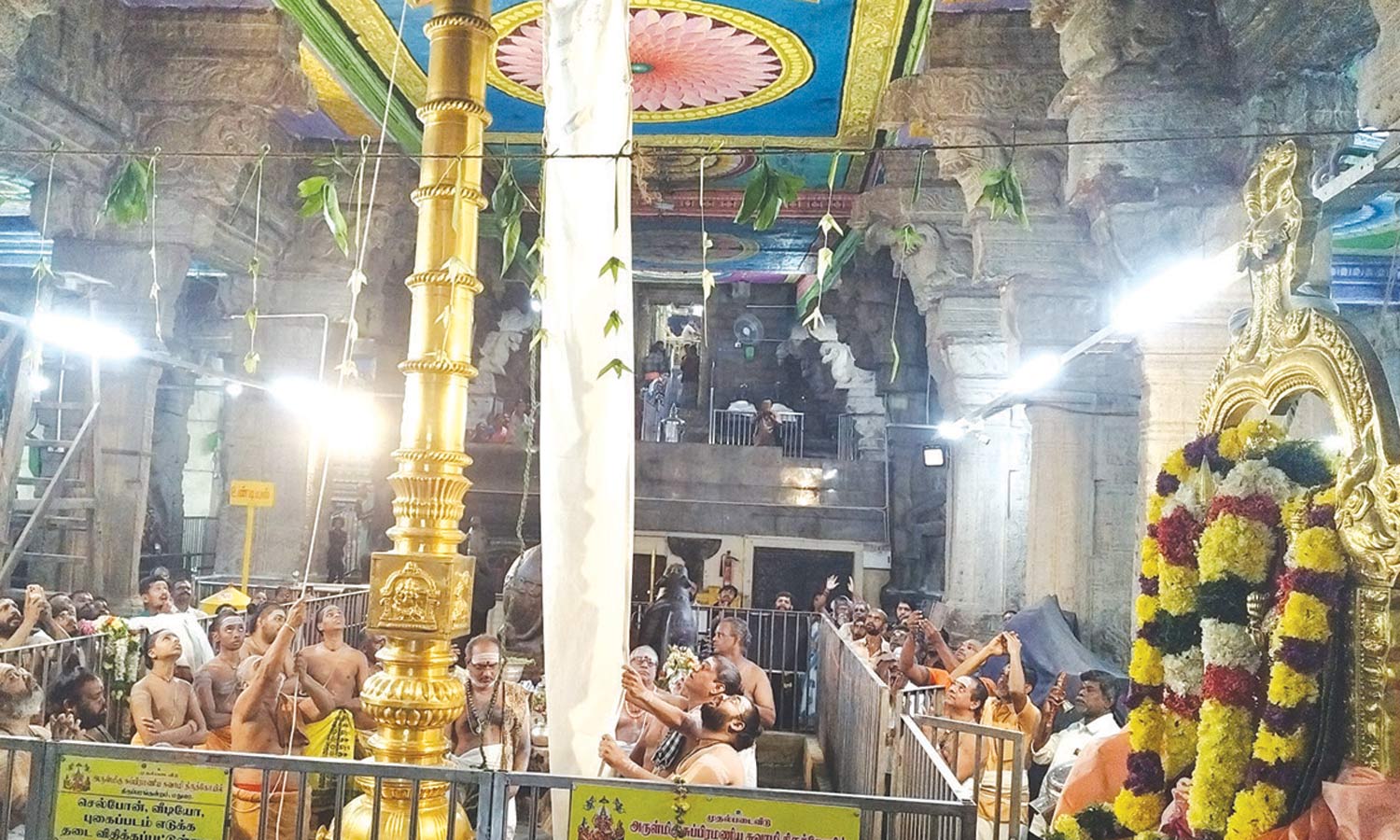 திருப்பரங்குன்றம் முருகன் கோவிலில் தெப்பத்திருவிழா கொடியேற்றத்துடன் தொடக்கம்