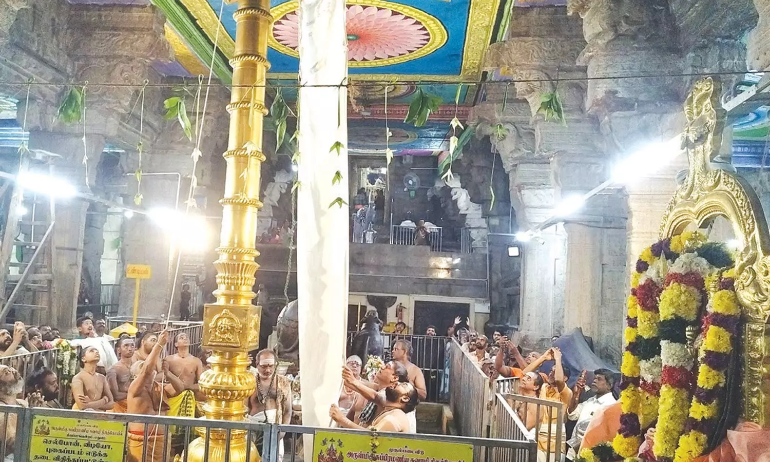 திருப்பரங்குன்றம் முருகன் கோவிலில் தெப்பத்திருவிழா கொடியேற்றத்துடன் தொடக்கம்