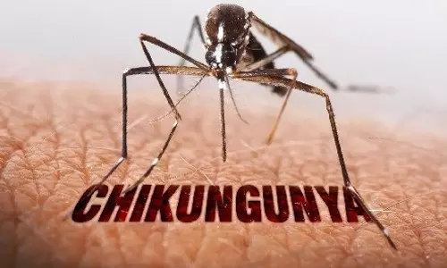 தமிழகத்தின் பல மாவட்டங்களில் சிக்குன் குனியா பாதிப்பு அதிகரிப்பு- பொது சுகாதாரத்துறை எச்சரிக்கை