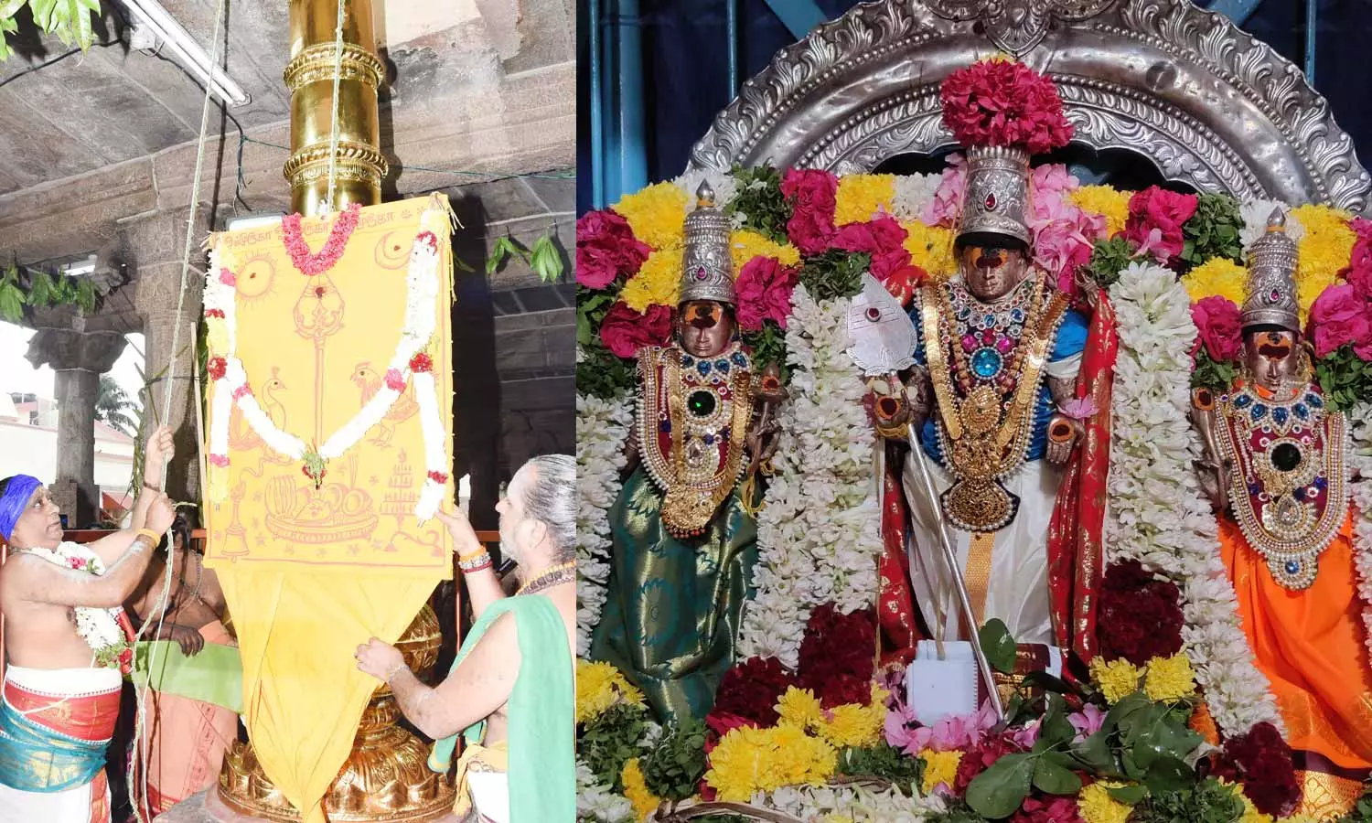 பழனி-கோவிலில்-இன்று-தைப்பூசத்திருவிழா-கொடியேற்றம்:-பிப்.1-ந்தேதி-தேரோட்டம்