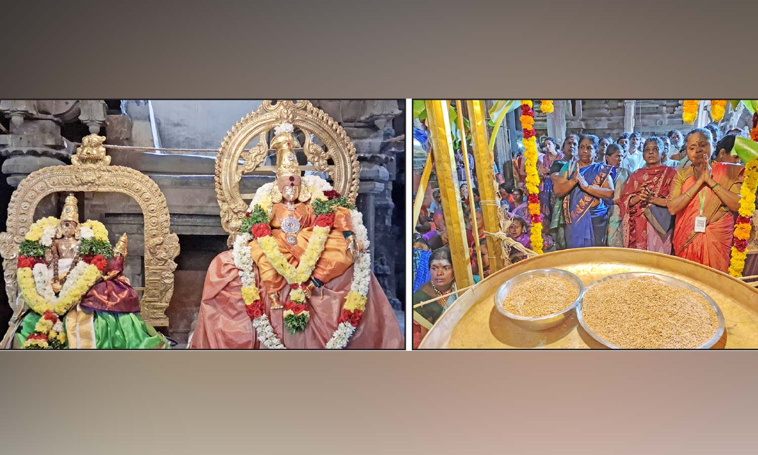 நெல்லையப்பர் கோவிலில் நெல்லுக்கு வேலியிட்ட வைபவம் கோலாகலம்- திரளான பக்தர்கள் பங்கேற்பு