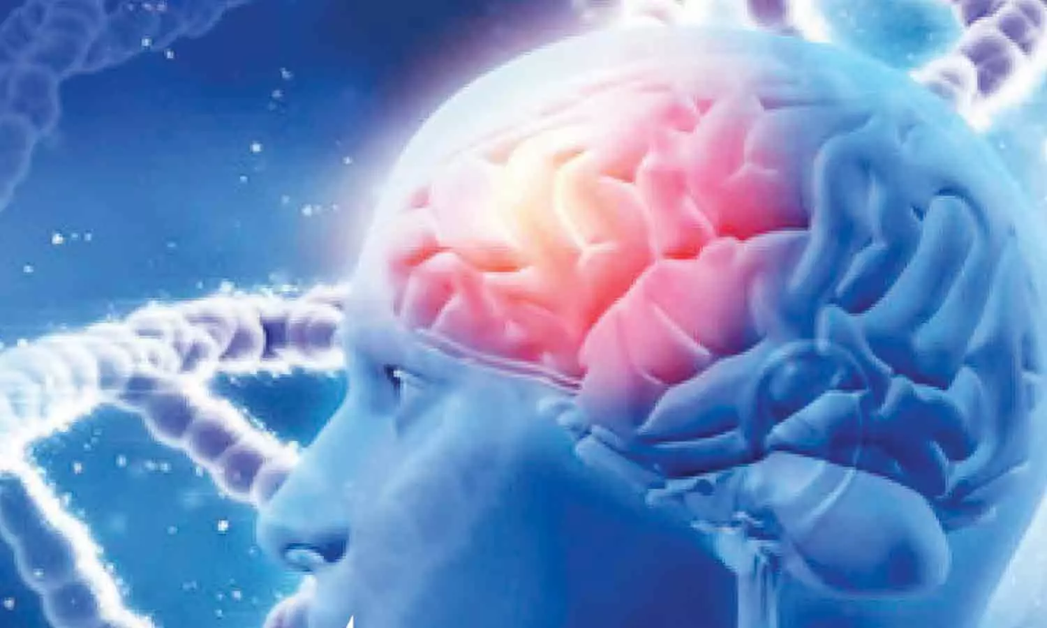 நரம்பியல் பிரச்சினைக்கு தீர்வு நரம்பியல் பிரச்சினைக்கு தீர்வு