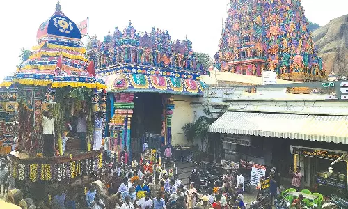 திருப்பரங்குன்றத்தில் தெப்பத்திருவிழா தேரோட்டம்- அரோகரா கோஷத்துடன் பக்தர்கள் இழுத்து தரிசனம்