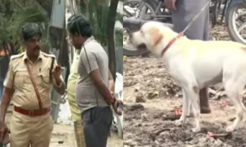 அடையாறில் சாக்கு மூட்டையில் பிணம்: வடமாநில வாலிபர், மனைவி-குழந்தையையும் கொன்ற கும்பல்