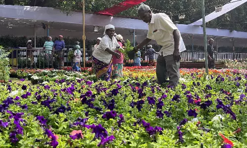 புதுச்சேரி தாவரவியல் பூங்காவில் மலர் கண்காட்சி 3 நாட்கள் நடக்கிறது