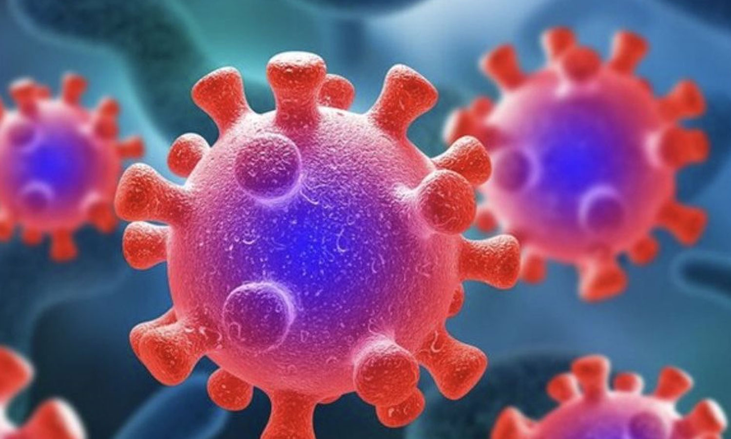 இந்திய இறைச்சிக்கு திடீர் தடை விதித்த கிர்கிஸ்தான்: இதுதான் காரணம்