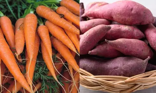 கேரட் - சர்க்கரை வள்ளிக்கிழங்கு: கண், இதய ஆரோக்கியத்திற்கு எது சிறந்தது?