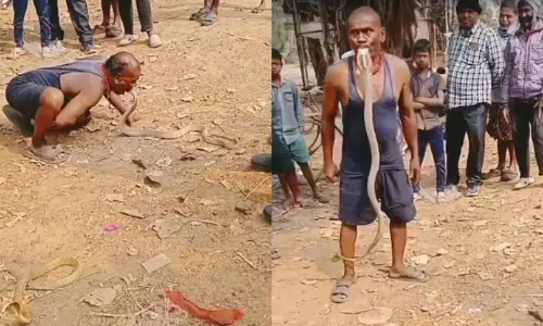 வாயாலேயே பாம்பு பிடித்த நபர்... அதிர வைக்கும் பகீர் வீடியோ