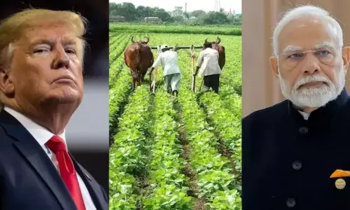 வர்த்தக ஒப்பந்தம்: அமெரிக்க விவசாயிகளுக்கு நன்மை.. இந்திய விவசாயிகளுக்கு ஆபத்தா? - மத்திய அரசு விளக்கம் வர்த்தக ஒப்பந்தம்: அமெரிக்க விவசாயிகளுக்கு நன்மை.. இந்திய விவசாயிகளுக்கு ஆபத்தா? - மத்திய அரசு விளக்கம்