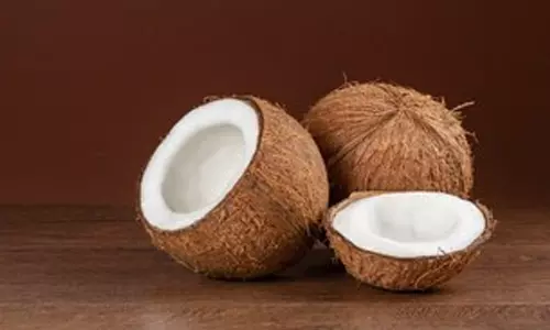 தேங்காயை அலட்சியப்படுத்தாதீர்கள்!- எலும்பு முதல் சரும பிரச்சனைகளுக்கு ஒரே தீர்வு