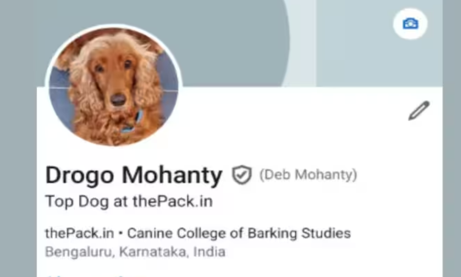 வேலை தேடும் நாய்... லின்க்டுஇன் தளத்தில் செல்லப்பிராணிக்கு புரொஃபைல்... பின்னணி என்ன?