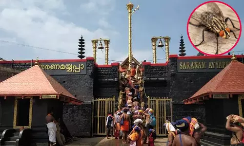 சபரிமலையில் ஈக்கள் தொல்லையால் தேவசம் ஊழியர்கள் - போலீசார் கடும் அவதி