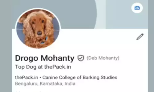 வேலை தேடும் நாய்... லின்க்டுஇன் தளத்தில் செல்லப்பிராணிக்கு புரொஃபைல்... பின்னணி என்ன?