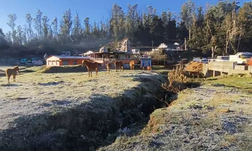 ஊட்டி, அவலாஞ்சியில் கடும் உறைபனி- பொதுமக்களின் இயல்பு வாழ்க்கை பாதிப்பு