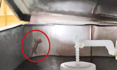 திருவேற்காடு கருமாரியம்மன் கோவில் குடிநீர் மிஷினில் கிடந்த பல்லி, பூச்சிகள்- பக்தர்கள் அதிர்ச்சி