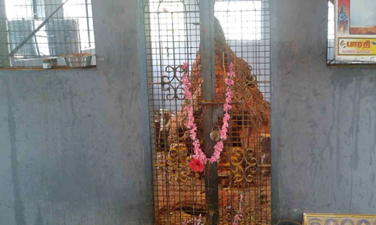 நாகதோஷ வழிபாடு