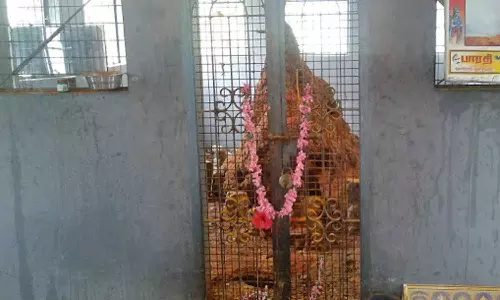 நாகதோஷ வழிபாடு