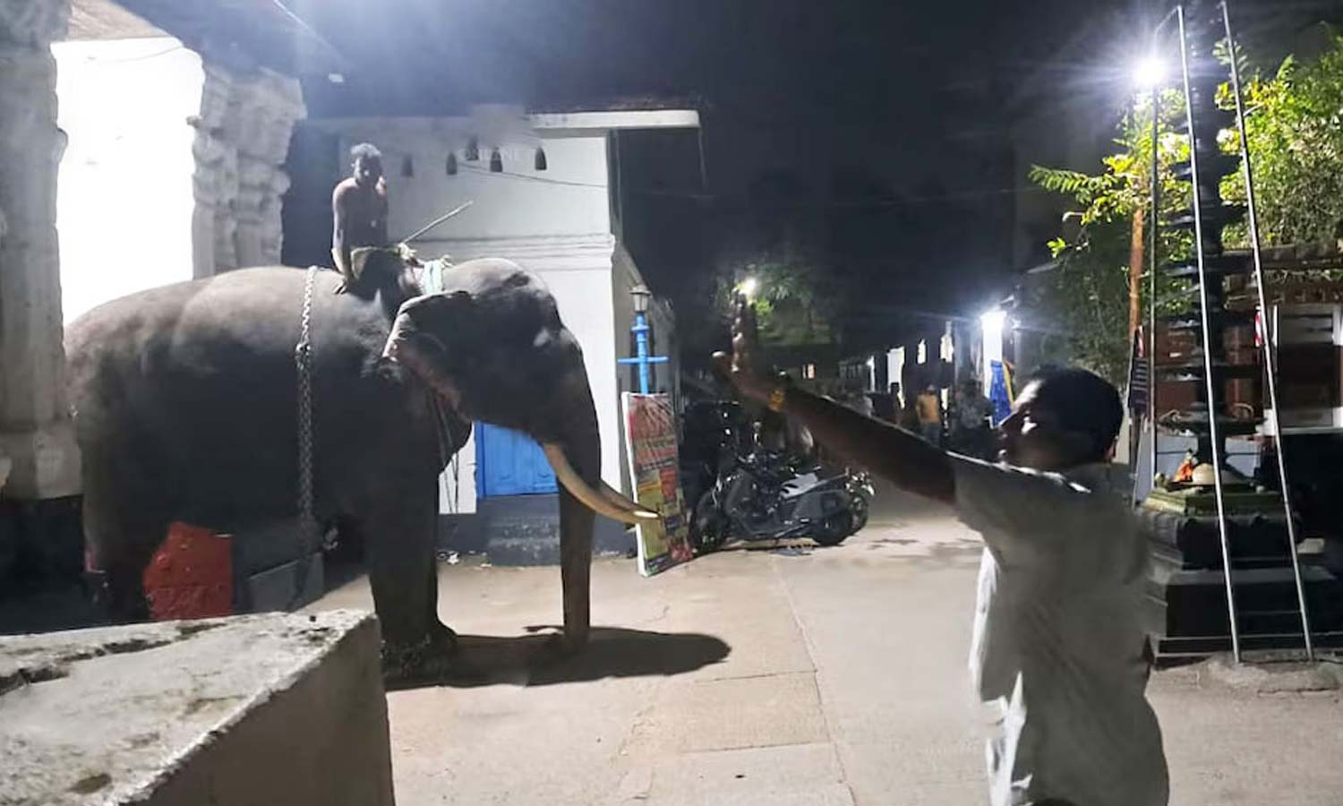 கோவில் திருவிழாவில் பாகனை கீழே தள்ளிவிட்டு ஆக்ரோஷமாக ஓடிய யானை- பக்தர்கள் அலறியடித்து ஓட்டம்