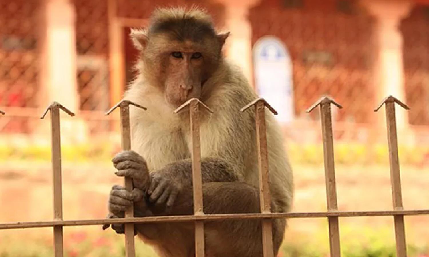 தேர்தல் வந்தா சின்ராச கைலயே புடிக்க முடியாது... பணம், பரிசுப் பொருட்கள் மட்டுமில்லை... கால்களுக்கும் முத்தம் - தெலங்கானா வேட்பாளர்கள் களம்