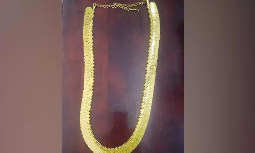 சிதம்பரம் நடராஜர் கோவிலுக்கு 50 பவுன் தங்க காசு மாலை- சென்னை பக்தர் காணிக்கையாக வழங்கினார்