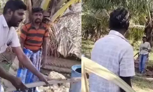 உடுமலையில் மின் வயர்களை திருடியதாக கூறி வாலிபர்கள் 2 பேரை மரத்தில் கட்டி வைத்து தாக்குதல்