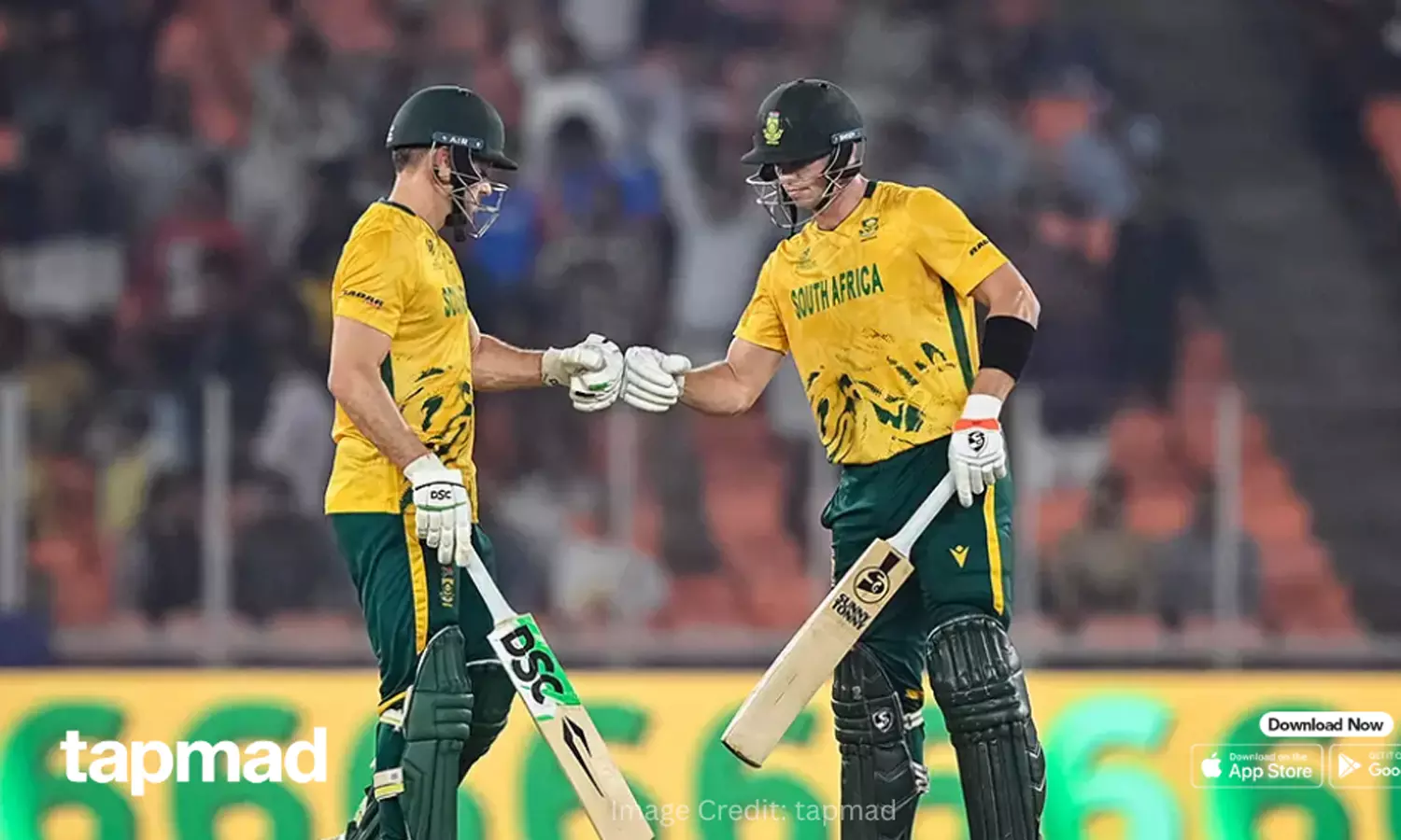 தென்-ஆப்பிரிக்கா-நியூசிலாந்து-நாளை-மோதல்--ஹாட்ரிக்-வெற்றி-யாருக்கு?