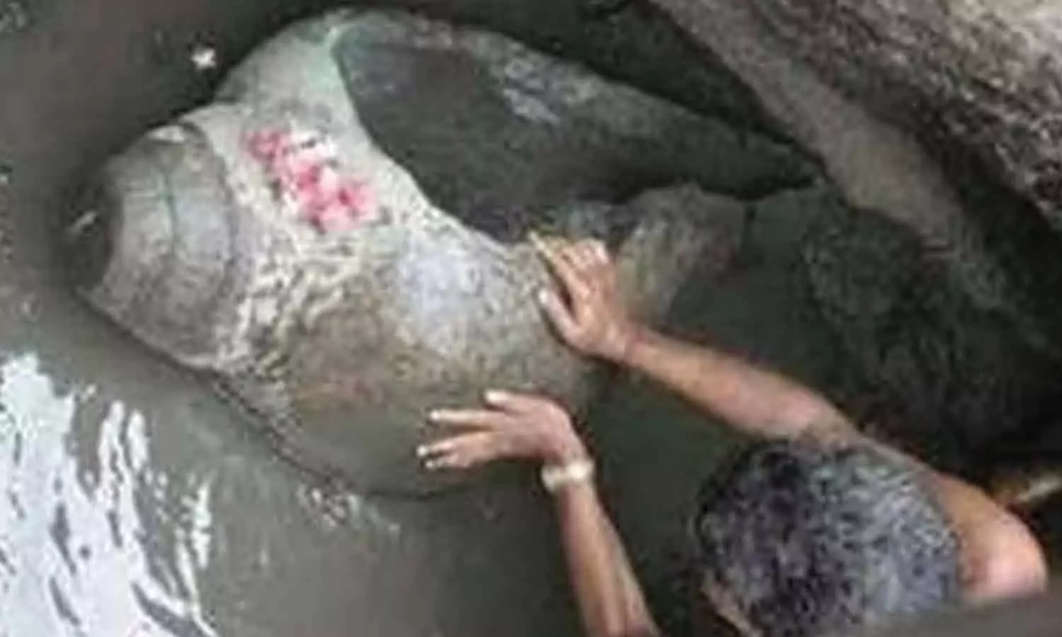 70-அடி-ஆழத்தில்-நீரில்-மூழ்கி-இருக்கும்-சங்கு...-சிவராத்திரியில்-மட்டும்-தென்படும்-அதிசயம்