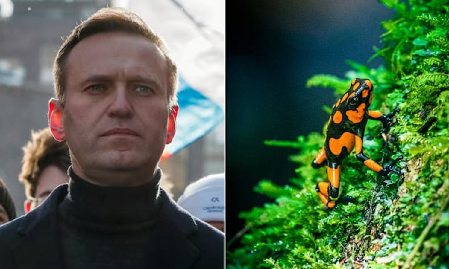 ரஷிய எதிர்க்கட்சித் தலைவர் விஷம் வைத்துக் கொல்லப்பட்டார்: உறுதி செய்த பிரிட்டன்