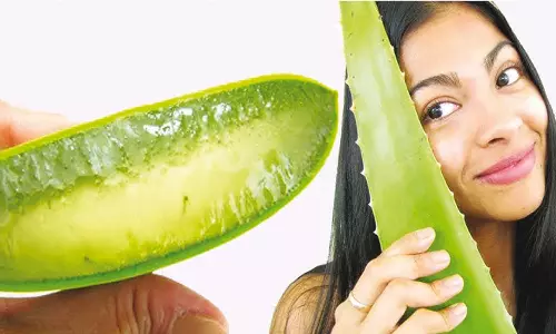 கற்றாழை தரும் கலக்கல் அழகு...