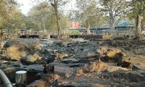 நீர்வரத்து கடும் சரிவால் கோடைக்கு முன்னரே வறண்ட ஒகேனக்கல் காவிரி ஆறு